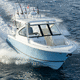 runabout hors-bord / bimoteur / open / à double console