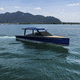 vedette in-bord / bimoteur / open / à double console