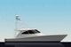 motor-yacht de pêche sportive / de croisière / offshore / convertible