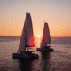 sailing-yacht catamaran / de croisière / de charter / de grande croisière