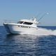 vedette catamaran / hors-bord / diesel / bimoteur