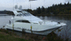 motor-yacht catamaran / de pêche sportive / à fly fermé / coque planante