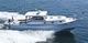 vedette in-bord / à moteur diesel / hard-top / de croisière