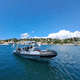bateau professionnel en aluminium / bateau de surveillance / bateau de travail / hors-bord
