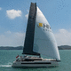 spinnaker asymétrique / pour voilier