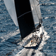 voile de portant / pour voilier de course / pour yacht à voile / en polyester