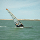 voile de planche de race / de régate / de compétition / SDM