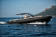 bateau pneumatique in-bord / semi-rigide / à console centrale / max. 16 personnes