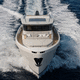motor-yacht de croisière / avec timonerie / IPS / 2 cabines