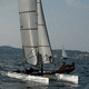 foc / pour multicoque de sport / F18 / Hobie Tiger