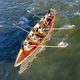 bateau d'aviron de course / quatre de pointe