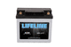 batterie marine 12 V / plomb / AGM