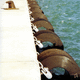 défense pour port / de ponton / cylindrique
