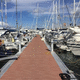 ponton flottant / d'amarrage / pour marina / en béton