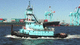 bateau professionnel remorqueur / in-bord