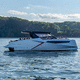vedette catamaran / in-bord / open / à double console