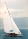grand-voile / pour quillard de sport monotype
