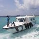 bateau à passagers / hors-bord / GRP