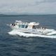 bateau promenade / in-bord / diesel / en polyester