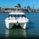 vedette catamaran / hors-bord / hard-top / de sport