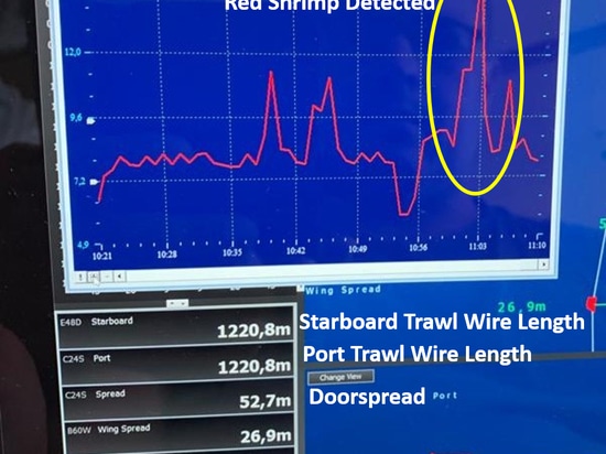 Echo détecte des crevettes rouges en Méditerranée