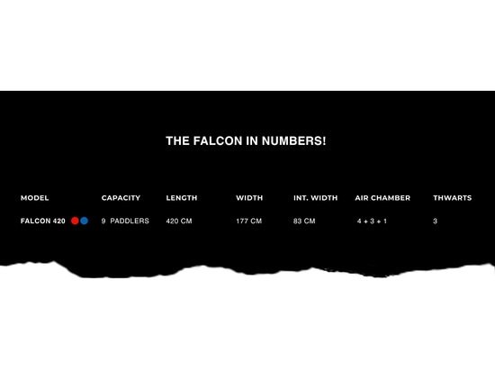 LE FALCON EN QUELQUES CHIFFRES