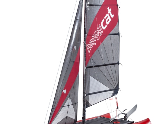 Nouveauté mondiale : HAPPY CAT STAR CARBON