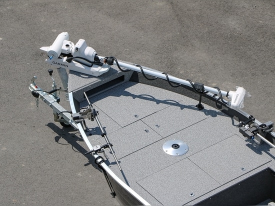 Électricité de poisson