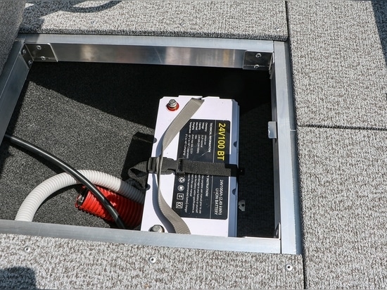 Électricité de poisson