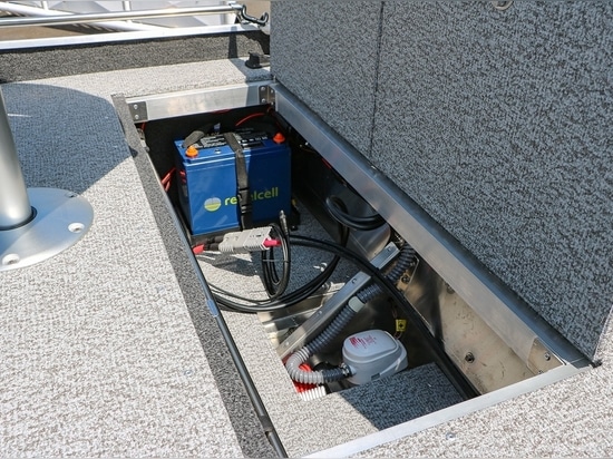 Électricité de poisson