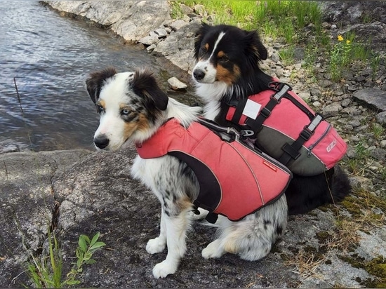 Aventure de plusieurs jours sur le lac STORA LE, en Suède