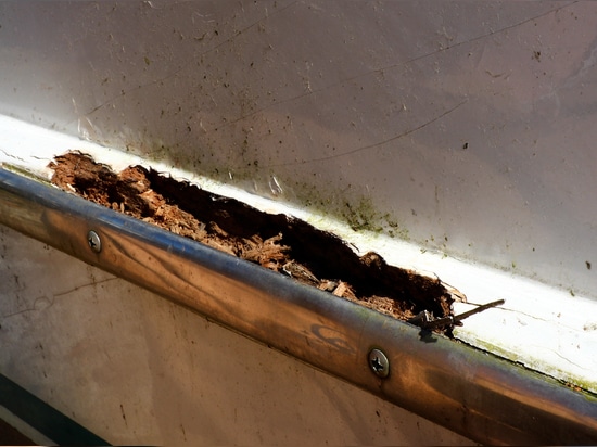 Bois dégradé par l’humidité