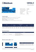 12M26.3 Generator - 2