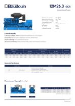 12M26.3+SCR Generator - 2