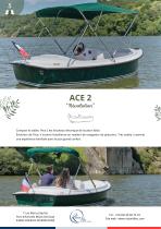 ACE 2