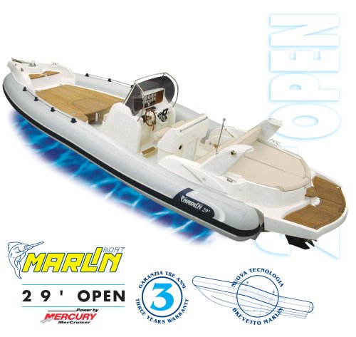 Model 29 open brochure