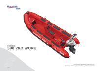 BATEAUX PNEUMATIQUES PROFESSIONNELS 2021-12