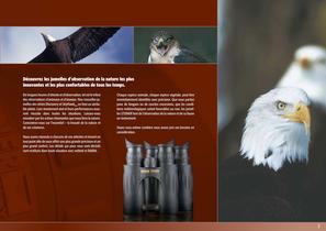 Brochure STEINER l‘observation de la nature et de sa faune 2010 - 3