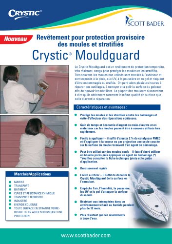 Mouldguard Flyer Fr