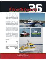 FIRESTORM 36