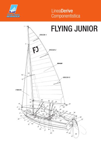 flying_junior