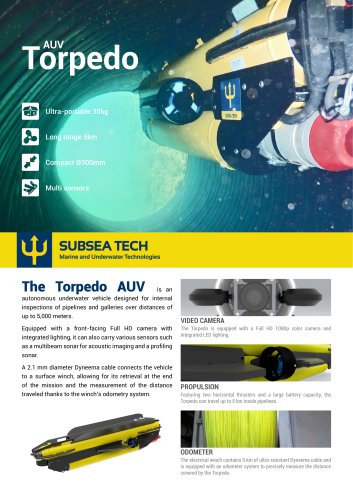 AUV Torpedo