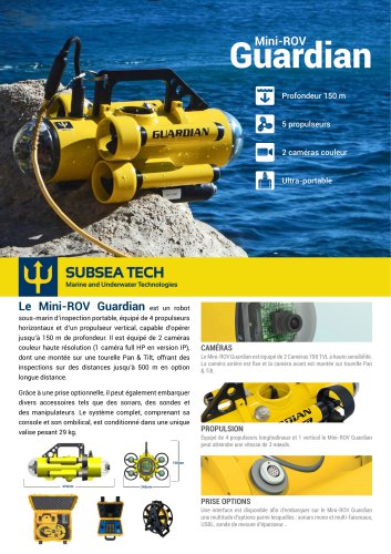 Mini ROV Guardian