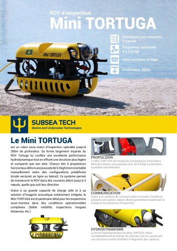 MINI TORTUGA