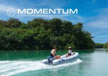 Brochure Momentum