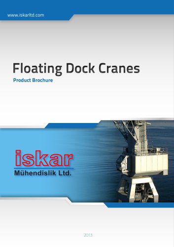 Floating Dock Cranes