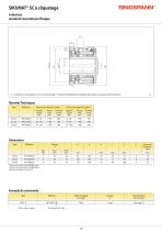 Limiteurs de surcharge SIAM RINGSPANN - 10