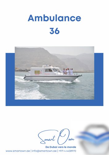 Ambulance 36