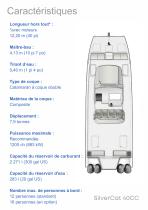 SilverCat 40CC - 2