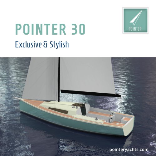 POINTER 30